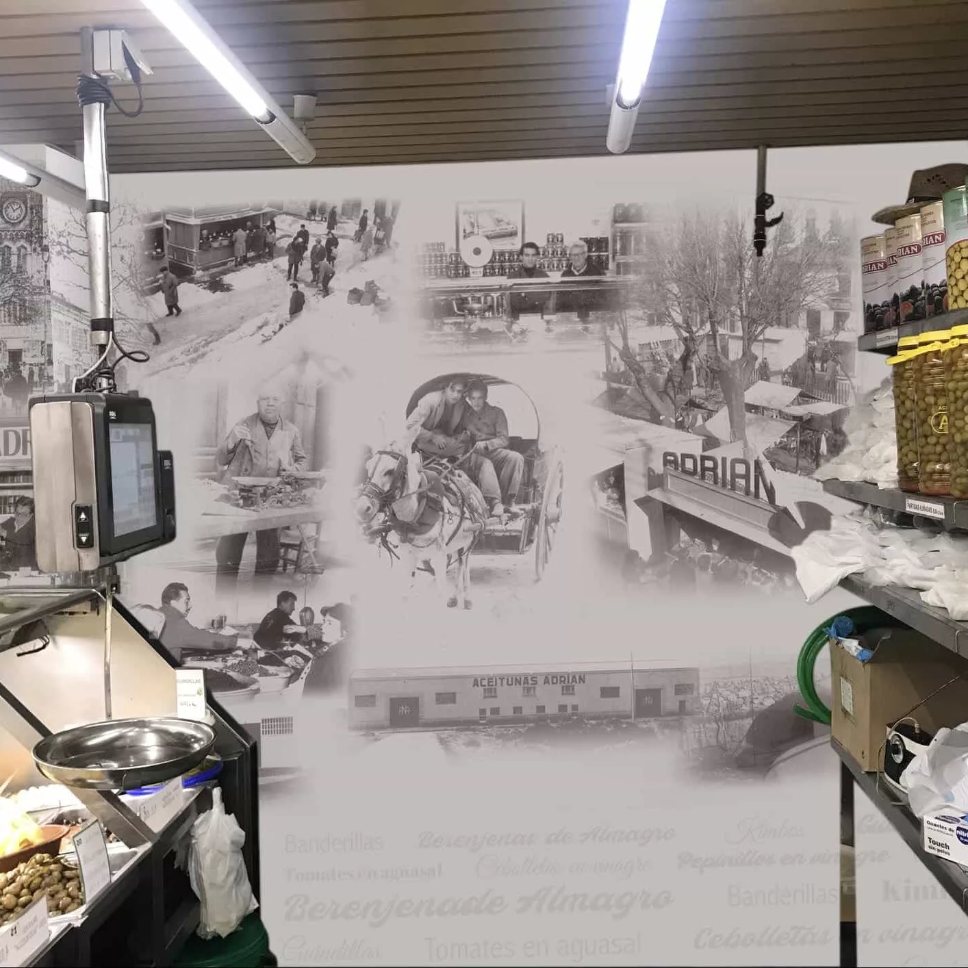 Rotulación de tienda de aceitunas Adrián